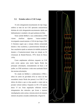 27
3.3. Estudos sobre o CAE Longo
O ciclo alongamento-encurtamento do tipo longo,
embora se trate de um CAE apresenta características
distintas do ciclo alongamento-encurtamento rápido que
habitualmente é estudado e do qual acabamos de falar.
Neste sentido Bobbert e seus colaboradores (1996)
vieram clarificar algumas “meias-verdades”,
investigando exaustivamente o CAE do tipo longo -CMJ.
A literatura sugere que a energia elástica armazenada
durante a fase excêntrica, e posteriormente libertada na
fase concêntrica ajude ao aumento do trabalho produzido
durante o Countermovement Jump em relação ao SJ.
(Asmussen & Bonde-Peterson, 1974; Komi & Bosco
1978)
Como amplamente referimos enquanto no CAE
curto existe apenas uma muito ligeira flexão das
principais articulações, nomeadamente da bacia e do
joelho, no CMJ assistimos a toda uma acentuada flexão
das mesmas articulações.
No estudo de Bobbert e colaboradores (1986) a
altura do centro de gravidade (CG) no início da fase
ascendente (maior flexão das pernas) é no CMJ 37 cm
abaixo da altura a que se situa quando o corpo está na
posição vertical estática. Enquanto no DJ o CG apenas
desce 13 cm. Estas angulações reflectem maiores
alongamentos dos músculos, que levam a menores
interdigitações entre actina e miosina através de menores
números de pontes cruzadas estabelecidas. (Figura12)
 