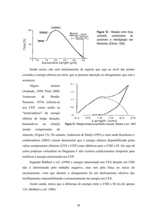 28
Sendo assim, não será minimamente de esperar que seja ao nível das pontes
cruzadas e energia elástica em série, que se procura oposição ao alongamento que está a
acontecer.
Alguns autores
(Andrade, 1999; Pinto 2000;
Asmussen & Bonde-
Peterson, 1974) referem-se
aos CEP, como sendo os
"municiadores" da energia
elástica de longa duração,
baseando-se na relação
tensão comprimento do
músculo. (Figura 13). No entanto, Andersson & Pandy (1993) e mais tarde Kurokawa e
colaboradores (2003) vieram demonstrar que a energia elástica disponibilizada pelas
várias componentes elásticas (CES e CEP) eram idênticas para o CMJ e SJ. Ou seja tal
como podemos vislumbrar no Diagrama F não existem condicionantes temporais para
reutilizar a energia armazenada nos CEP.
Segundo Bobbert e col. (1996) a energia armazenada nos CES durante um CMJ
não é determinada pelo trabalho negativo, mas sim pela força no início do
encurtamento, visto que durante o alongamento há um deslizamento efectivo dos
miofilamentos impossibilitando o armazenamento de energia nos CES.
Assim sendo, temos que a diferença de energia entre o CMJ e SJ era de apenas
13J. (Bobbert e col. 1996)
Figura 13 - Relação tensão-comprimento muscular. (Ralston e col., 1947)
Figura 12 - Relação entre força
contráctil, comprimento do
sarcómero e interdigitação dos
filamentos. (Edman, 1992)
 