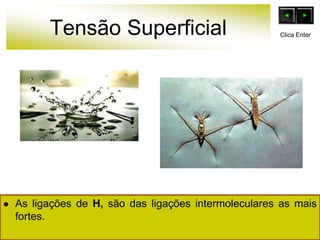Tensão Superficial
 As ligações de H, são das ligações intermoleculares as mais
fortes.
Clica Enter
 