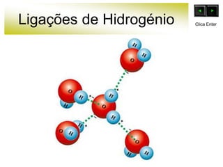 Ligações de Hidrogénio Clica Enter
 