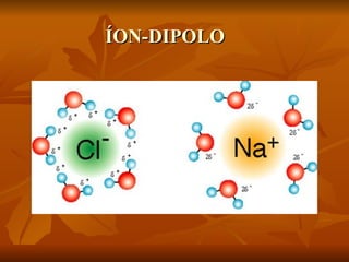 ÍON-DIPOLO
 