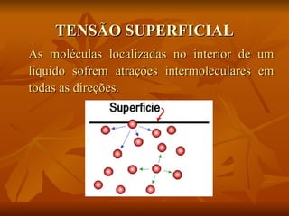 TENSÃO SUPERFICIAL
As moléculas localizadas no interior de um
líquido sofrem atrações intermoleculares em
todas as direções.
 