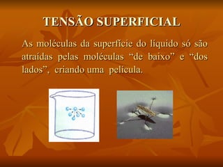 TENSÃO SUPERFICIAL
As moléculas da superfície do líquido só são
atraídas pelas moléculas “de baixo” e “dos
lados”, criando uma película.
 