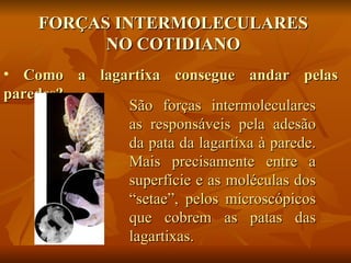 FORÇAS INTERMOLECULARES
          NO COTIDIANO
• Como a lagartixa consegue andar pelas
paredes?
             São forças intermoleculares
             as responsáveis pela adesão
             da pata da lagartixa à parede.
             Mais precisamente entre a
             superfície e as moléculas dos
             “setae”, pelos microscópicos
             que cobrem as patas das
             lagartixas.
 