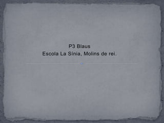 P3 Blaus
Escola La Sínia, Molins de rei.
 