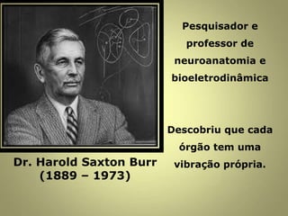 Pesquisador e
professor de
neuroanatomia e
bioeletrodinâmica
Descobriu que cada
órgão tem uma
vibração própria.Dr. Harold Saxton Burr
(1889 – 1973)
 