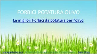 FORBICI POTATURA OLIVO
Le migliori Forbici da potatura per l’olivo
www.gardenhome.it – Attrezzi da Giardinaggio, potatura e disinfestazione – Segui il blog
 