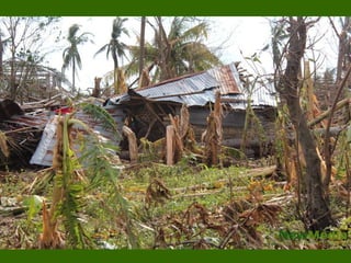 Destruction cause by Yolanda Typhoon at Bogo to San Remigio, Cebu