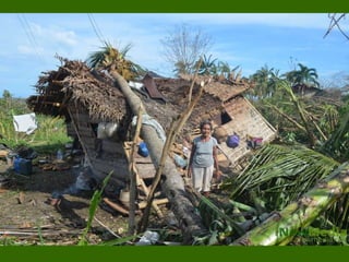 Houses owners make a stand to ask for shelter support.