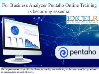 For Business Analyzer Pentaho Online Training
is becoming essential
The importance of the profile for Business Intelligence is the key to the success of the growth of
an organization in multiple ways.
 