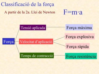 Classificació de la força A partir de la 2a. Llei de Newton F=m·a Força Tensió aplicada Velocitat d’aplicació Temps de contracció Força màxima Força explosiva Força ràpida Força resistència 