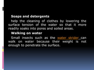 Soaps and detergents
help the cleaning of clothes by lowering the
surface tension of the water so that it more
readily soaks into pores and soiled areas.
Walking on water
Small insects such as the water strider can
walk on water because their weight is not
enough to penetrate the surface.
 