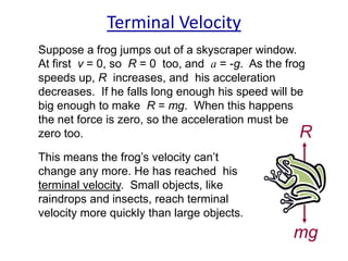 Terminal Velocity
Suppose a frog jumps out of a skyscraper window.
At first v = 0, so R = 0 too, and a = -g. As the frog
speeds up, R increases, and his acceleration
decreases. If he falls long enough his speed will be
big enough to make R = mg. When this happens
the net force is zero, so the acceleration must be
zero too.
R
This means the frog’s velocity can’t
change any more. He has reached his
terminal velocity. Small objects, like
raindrops and insects, reach terminal
velocity more quickly than large objects.

mg

 