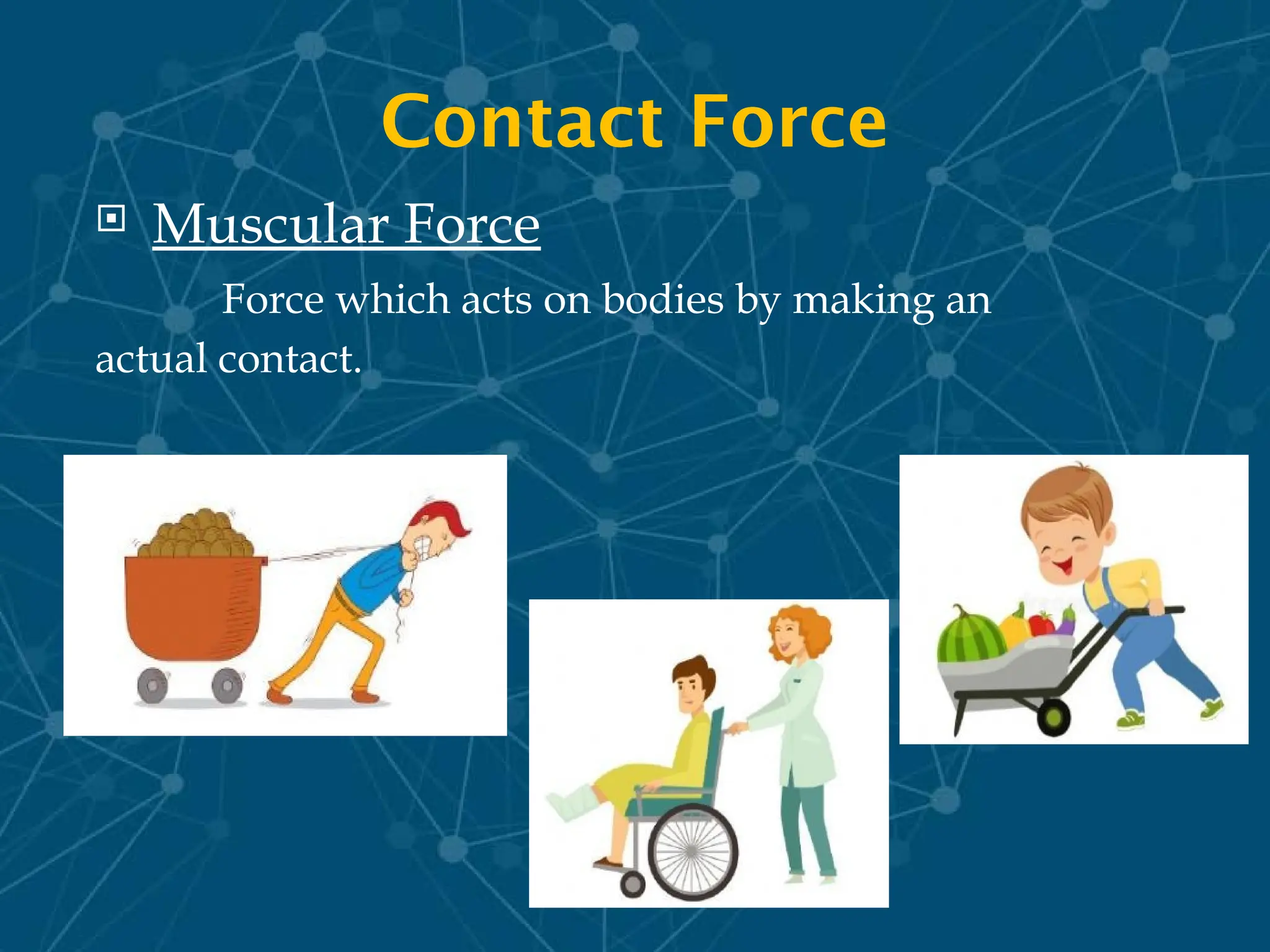 Contact Force
 Muscular Force
Force which acts on bodies by making an
actual contact.
 