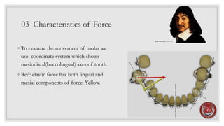 03 Characteristics of Force
◦ To evaluate the movement of molar we
use coordinate system which shows
mesiodistal(buccolingual) axes of tooth.
◦ Red: elastic force has both lingual and
mesial components of force: Yellow.
René Descartes 1596-1650
 