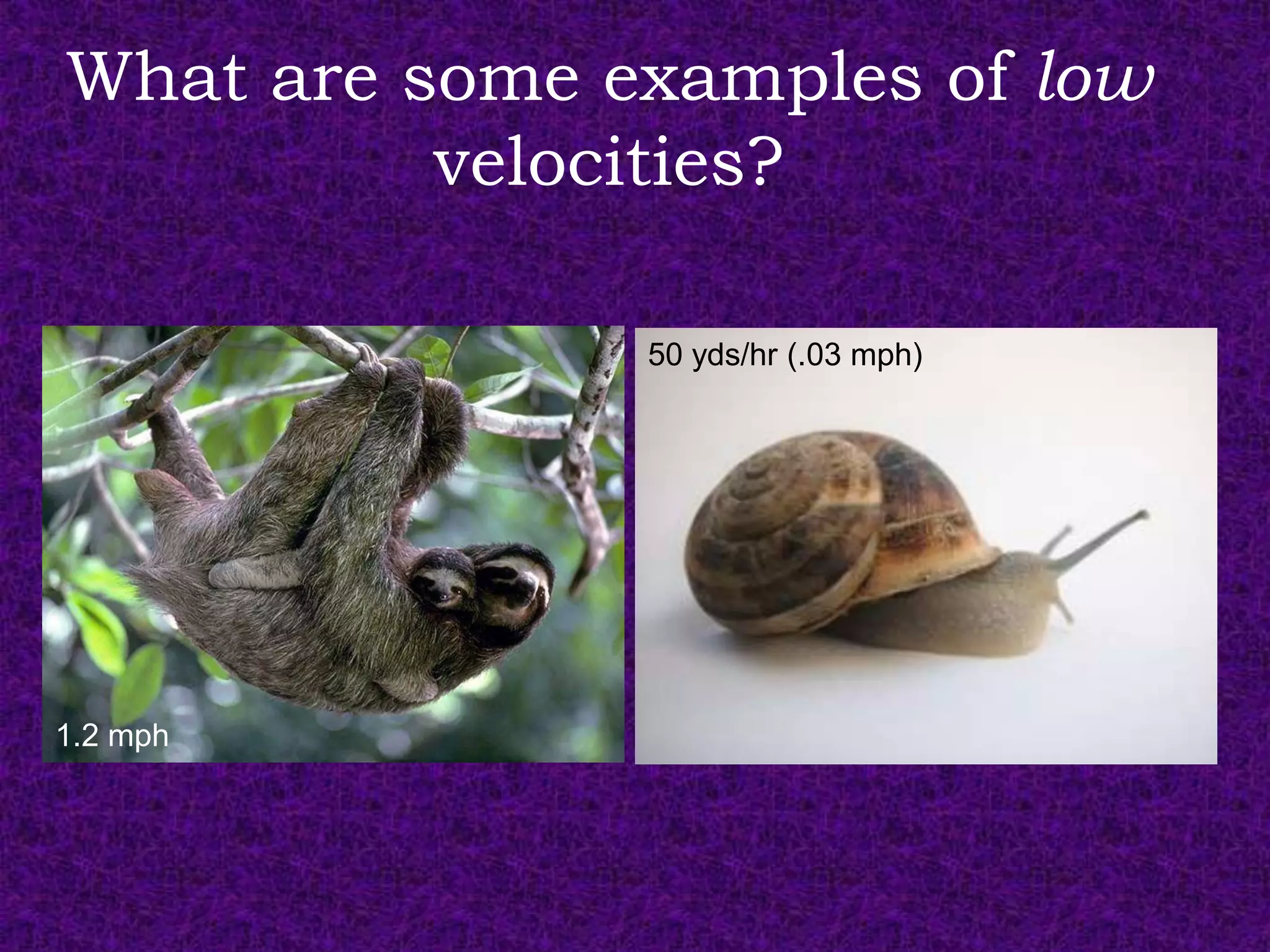 What are some examples of low
          velocities?

               50 yds/hr (.03 mph)




1.2 mph
 