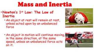 •Newton’s 1st
Law: The Law of
Inertia
• An object at rest will remain at rest,
unless acted upon by an unbalanced
force
• An object in motion will continue moving,
in the same direction, at the same
speed, unless an unbalanced force acts
on it.
 