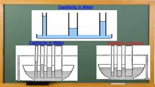 Capillarity in Water
Capillarity in Mercury
Capillarity in Water
 