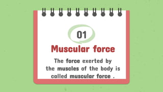 01
Muscular force
The force exerted by
the muscles of the body is
called muscular force .
 