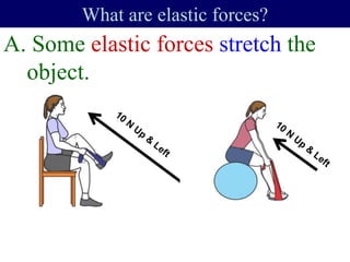 A. Some elastic forces stretch the
object.
What are elastic forces?
 