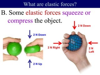 B. Some elastic forces squeeze or
compress the object.
What are elastic forces?
2 N Down
2 N Right 2 N
Left
2 N Down
2 N Up
 