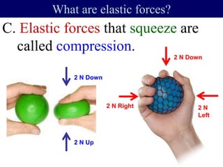 C. Elastic forces that squeeze are
called compression.
What are elastic forces?
2 N Down
2 N Right 2 N
Left
2 N Down
2 N Up
 