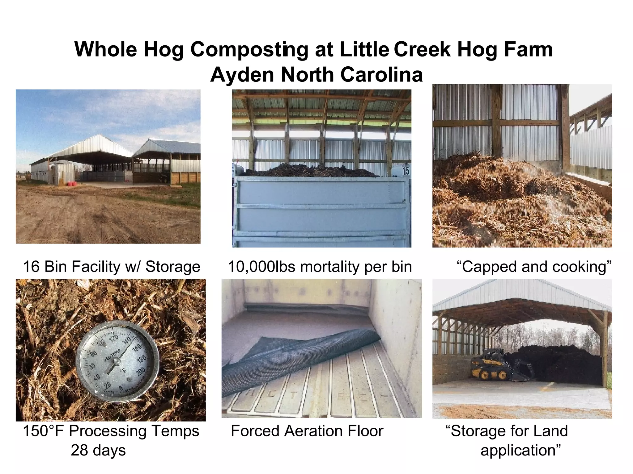 Whole Hog Composting at Little Creek Hog Farm  Ayden North Carolina 16 Bin Facility w/ Storage  10,000lbs mortality per bin  “Capped and cooking” 150°F Processing Temps  Forced Aeration Floor  “Storage for Land 28 days  application” 