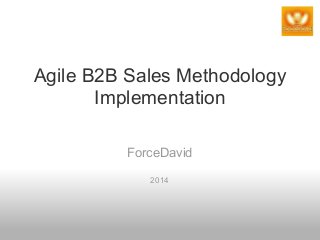 Agile B2B Sales Methodology
Implementation
ForceDavid
2014
 