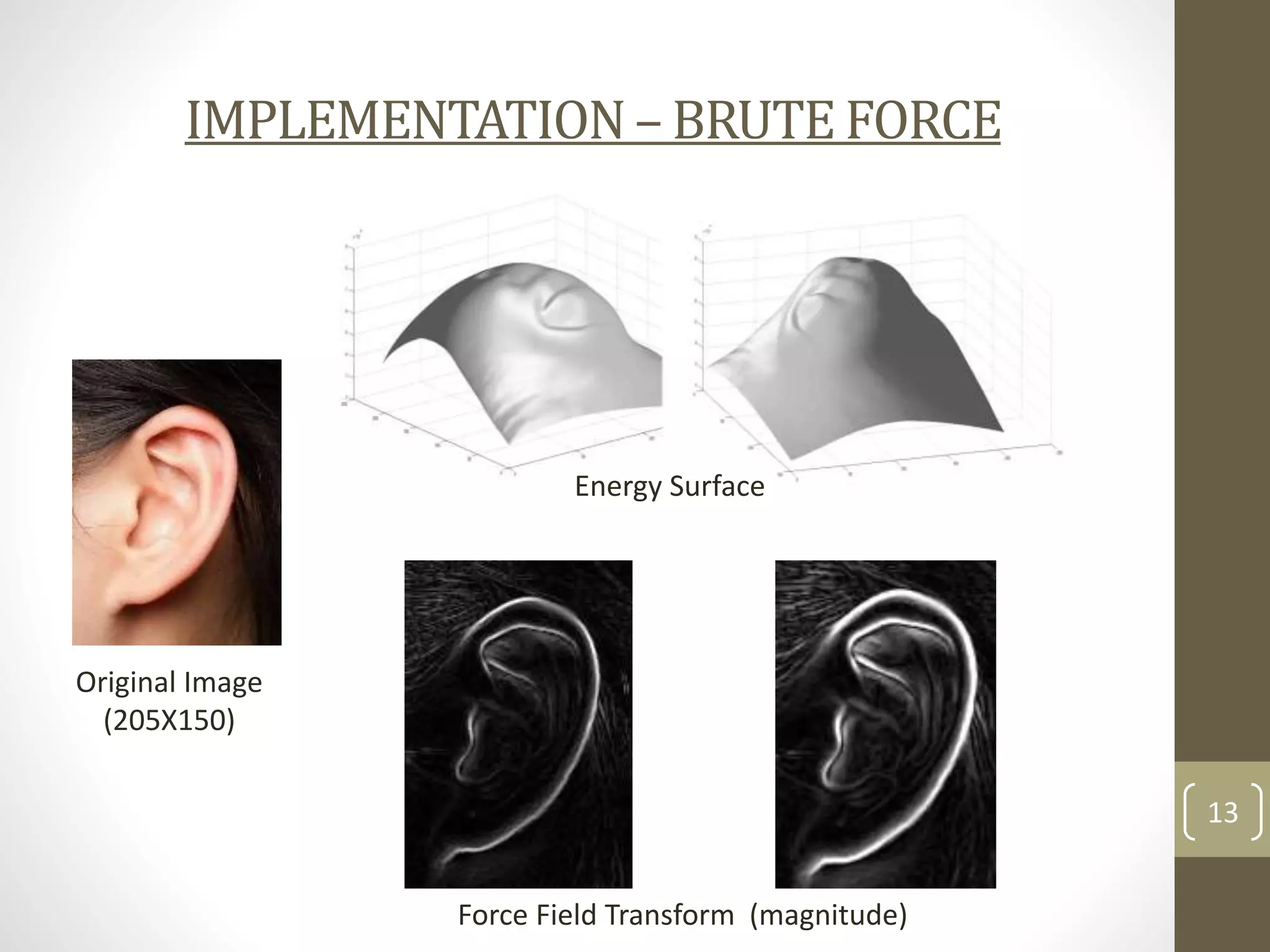 IMPLEMENTATION – BRUTE FORCE

Energy Surface

Original Image
(205X150)
13
Force Field Transform (magnitude)

 