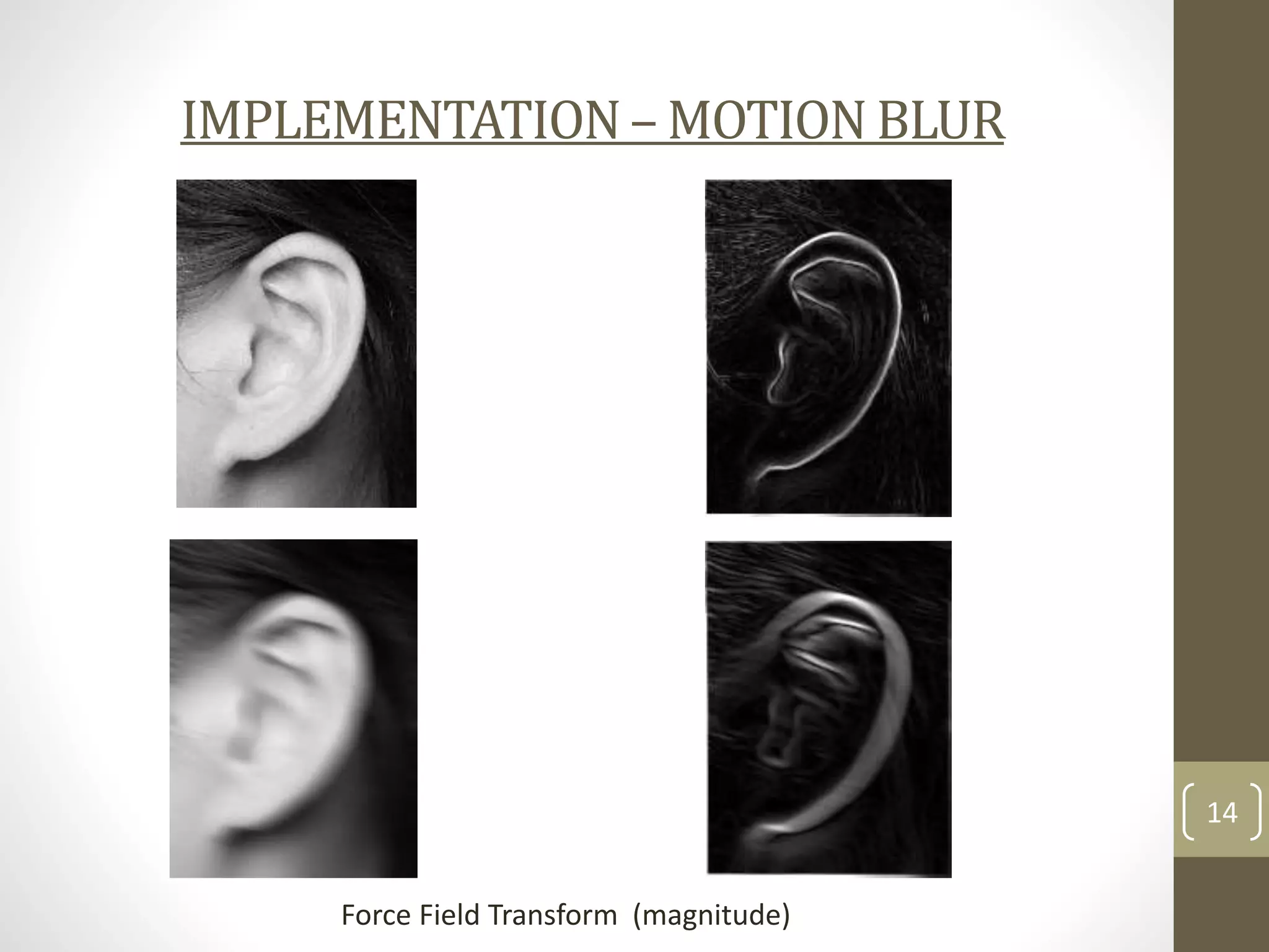 IMPLEMENTATION – MOTION BLUR

14
Force Field Transform (magnitude)

 