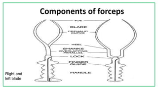 7C
Components of forceps
Right and
left blade
 