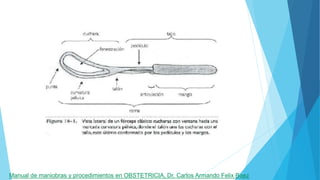 Manual de maniobras y procedimientos en OBSTETRICIA, Dr. Carlos Armando Felix Baez
 