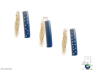 Visit
Mr L. de Boer-Smit
 