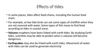 Effects of tides
• In some places, tides affect food chains, including the human food
chain.
• For example, at low tide birds can eat some types of shellfish when they
are not covered with water. Some types of fish move to find food
according to tides in coastal areas.
• Volcano eruptions have been linked with earth tides. By studying Earth
tides, scientists may be able to predict when a volcano will become
dangerous.
• Earthquakes may also be linked with earth tides. Movement of water
with tides can be used to generate electricity.
 