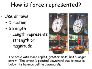 How is force represented?
• Use arrows
– Direction
– Strength
• Length represents
strength or
magnitude
– The scale with more apples, greater mass, has a longer
arrow. The arrow is pointed downward due to mass is
below the balance pulling downwards.
 