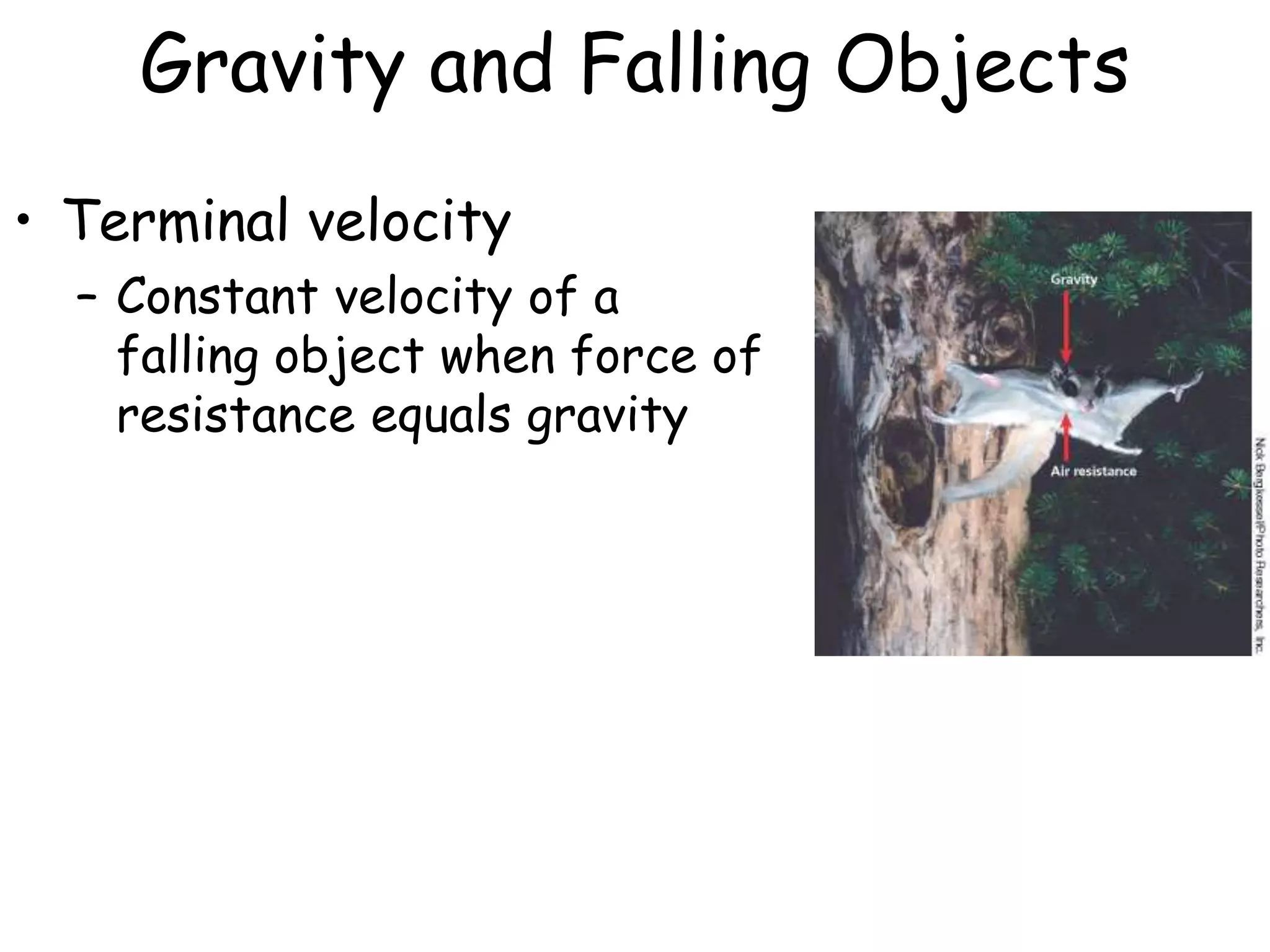 Gravity and Falling Objects
• Terminal velocity
– Constant velocity of a
falling object when force of
resistance equals gravity
 