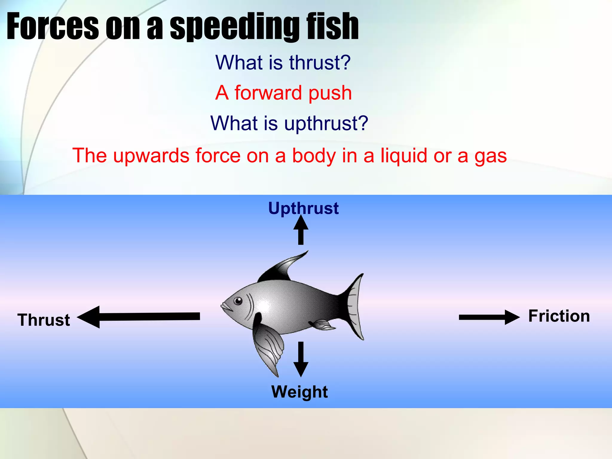 Forces on a speeding fish Upthrust Friction Thrust Weight What is thrust? A forward push What is upthrust? The upwards force on a body in a liquid or a gas 