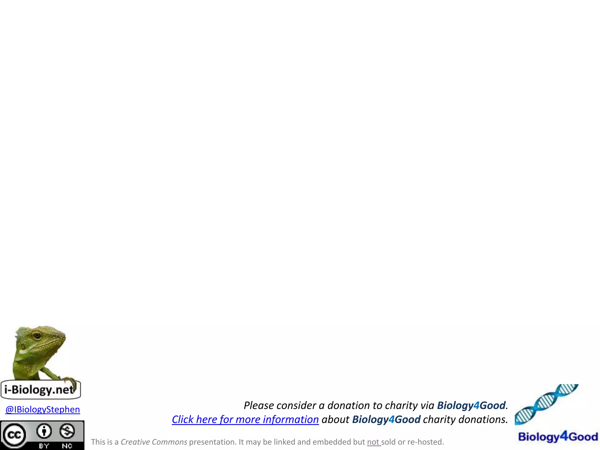 @IBiologyStephen                                         Please consider a donation to charity via Biology4Good.
                                         Click here for more information about Biology4Good charity donations.
                   This is a Creative Commons presentation. It may be linked and embedded but not sold or re-hosted.
 
