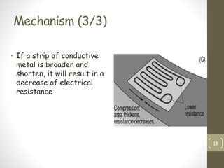 Mechanism (3/3)
• If a strip of conductive
metal is broaden and
shorten, it will result in a
decrease of electrical
resistance
18
 