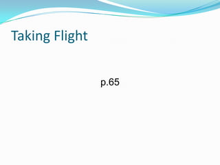 Taking Flight
p.65

 