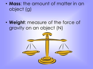 • Mass: the amount of matter in an 
object (g) 
• Weight: measure of the force of 
gravity on an object (N) 
 