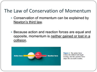 The Law of Conservation of Momentum
 Conservation of momentum can be explained by

Newton’s third law.
 Because action and reaction forces are equal and

opposite, momentum is neither gained or lost in a
collision.

 