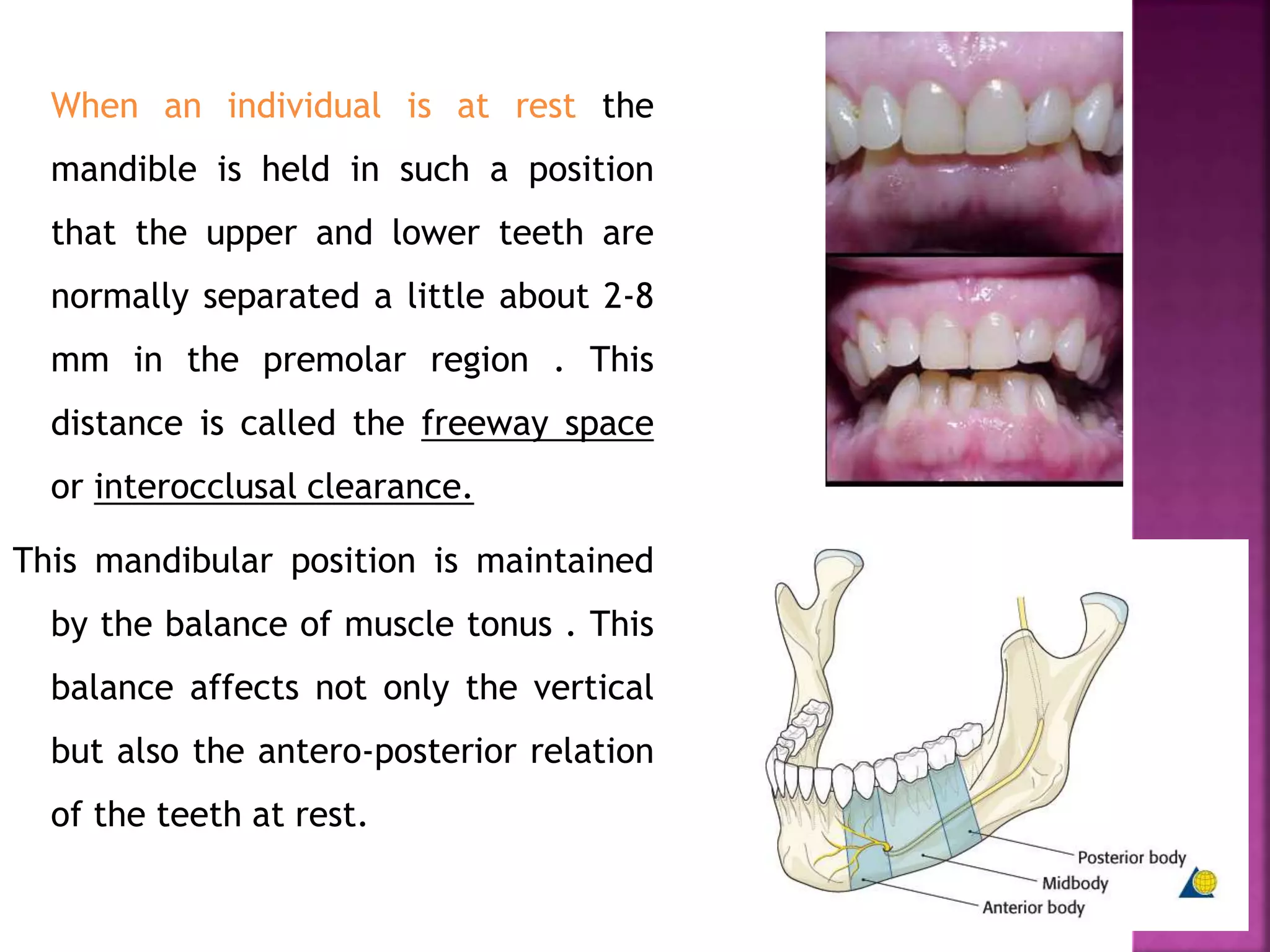 When an individual is at rest the
mandible is held in such a position
that the upper and lower teeth are
normally separated a little about 2-8
mm in the premolar region . This
distance is called the freeway space
or interocclusal clearance.
This mandibular position is maintained
by the balance of muscle tonus . This
balance affects not only the vertical
but also the antero-posterior relation
of the teeth at rest.
 