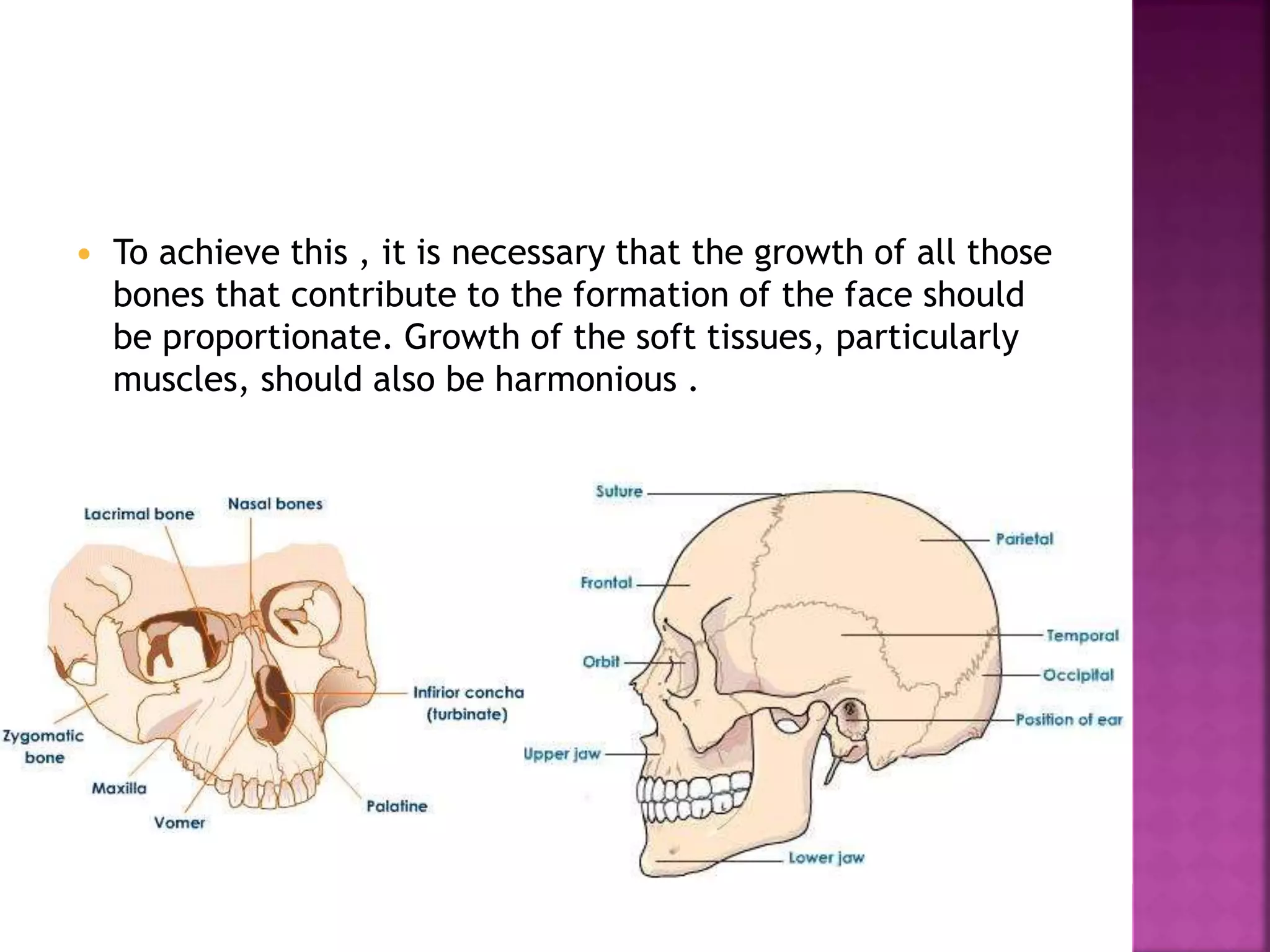  To achieve this , it is necessary that the growth of all those
bones that contribute to the formation of the face should
be proportionate. Growth of the soft tissues, particularly
muscles, should also be harmonious .
 