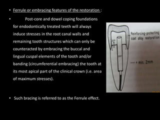 • Ferrule or embracing features of the restoration :
• Post-core and dowel coping foundations
for endodontically treated teeth will always
induce stresses in the root canal walls and
remaining tooth structures which can only be
counteracted by embracing the buccal and
lingual cuspal elements of the tooth and/or
banding (circumferential embracing) the tooth at
its most apical part of the clinical crown (i.e. area
of maximum stresses).
• Such bracing is referred to as the Ferrule effect.
 