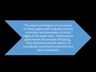 The extent and degree of concavities
on these upper teeth lingually and the
inclination and roundness of incisal
ridges of the lower ones , determine to
great extent the amount of loading ,
their directions and the pattern of
mandibular movements anteriorly and
latero-anteriorly.
 
