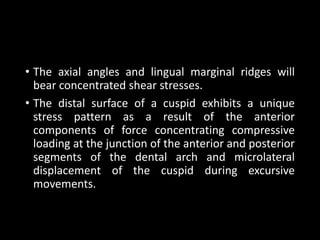 • The axial angles and lingual marginal ridges will
bear concentrated shear stresses.
• The distal surface of a cuspid exhibits a unique
stress pattern as a result of the anterior
components of force concentrating compressive
loading at the junction of the anterior and posterior
segments of the dental arch and microlateral
displacement of the cuspid during excursive
movements.
 