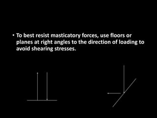• To best resist masticatory forces, use floors or
planes at right angles to the direction of loading to
avoid shearing stresses.
 