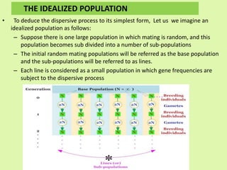 • To deduce the dispersive process to its simplest form, Let us we imagine an
idealized population as follows:
– Suppose there is one large population in which mating is random, and this
population becomes sub divided into a number of sub-populations
– The initial random mating populations will be referred as the base population
and the sub-populations will be referred to as lines.
– Each line is considered as a small population in which gene frequencies are
subject to the dispersive process
THE IDEALIZED POPULATION
 
