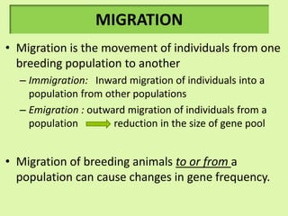 MIGRATION
• Migration is the movement of individuals from one
breeding population to another
– Immigration: Inward migration of individuals into a
population from other populations
– Emigration : outward migration of individuals from a
population reduction in the size of gene pool
• Migration of breeding animals to or from a
population can cause changes in gene frequency.
 
